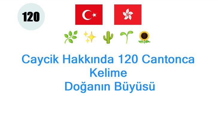 Caycik Hakkında 120 Cantonca Kelime: Doğanın Büyüsü